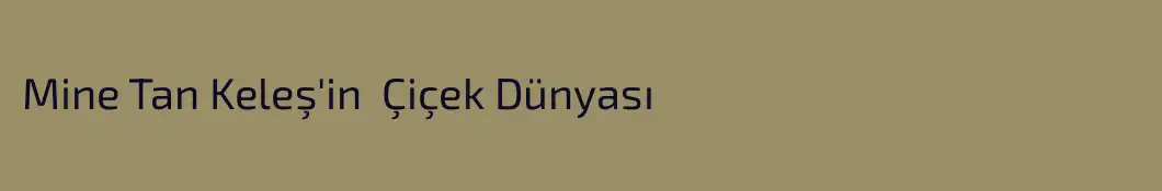 Mine Tan Keleş'in  Çiçek Dünyası
